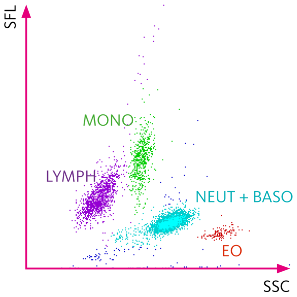 Scattergram WBC Differential Channel Sysmex Scattergram WBC Differential Channel