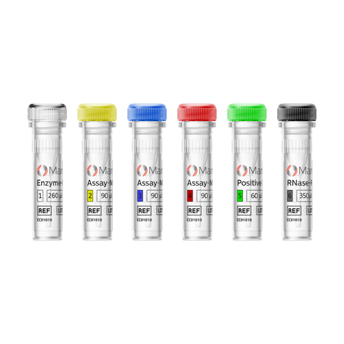 [.DK-dk Denmark (danish)] MammaTyper Vials 